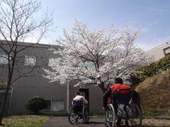 t2018.4.20 4.jpg