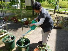 d2018.7.4 1.jpg
