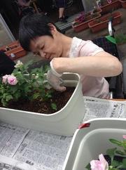 s2018.7.12 2.jpg
