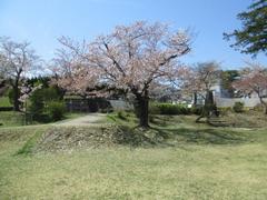 r2021.5.13 4.jpg
