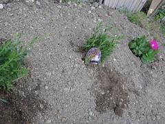 t2021.5.15 3.jpg