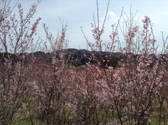 r2022.4.18 4.jpg