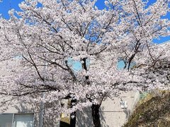 r2024.4.18 4.jpg