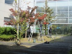 j2023.11.24 1.jpg