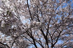 j2024.4.15 2.jpg