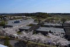 j2024.4.15 3.jpg
