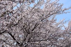 j2024.4.15 5.jpg