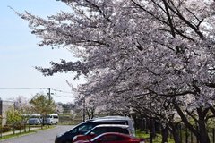 j2024.4.15 6.jpg