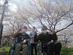 t2024.4.20 1.jpg