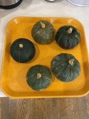 d2024.10.3 3.jpg