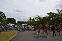 j2024.10.11 12.jpg