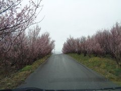 s2025.4.19 2.jpg