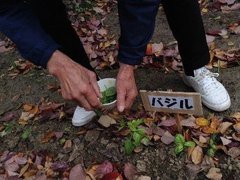 d2025.12.4 2.jpg