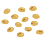 or2019.2.22 3.png