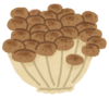 or2019.6.27 1.png