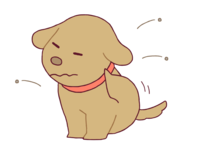om2019.8.15 2.png