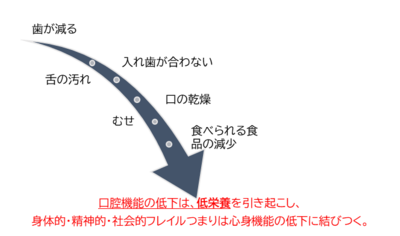 or2023.3.8 1.png